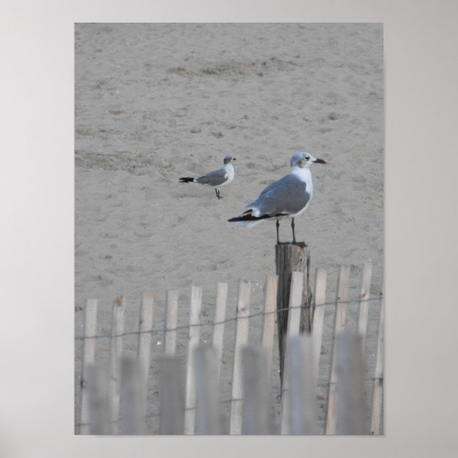 Strand ~ 25,5 poster (Vorne)