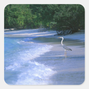 Strand 2 quadratischer aufkleber