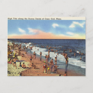 Strand am Cape Cod Postkarte