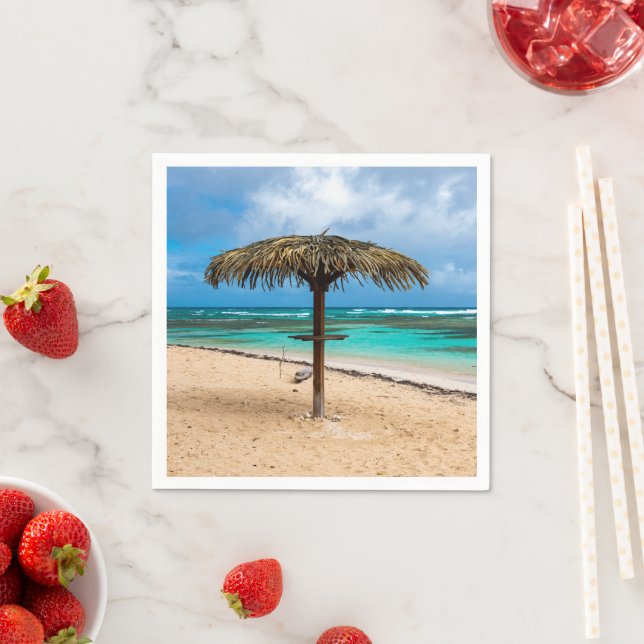 Strand Anse des Rochers Serviette (Beispiel)