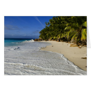 Strand Anse Victorin 2