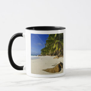 Strand Anse Victorin Tasse