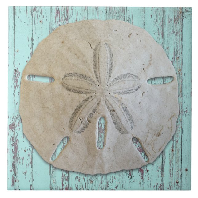 Strand Ästhetik Sanddollar Dekor Fliese (Vorderseite)