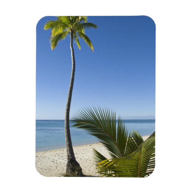 Strand auf dem Festland Aitutaki, Cookinseln Magnet (Vertikal)