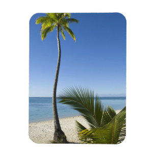 Strand auf dem Festland von Aitutaki, Cookinseln Magnet
