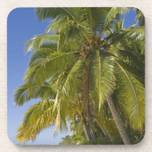 Strand auf One-Foot-Eiland, Aitutaki, Cookinseln Getränkeuntersetzer