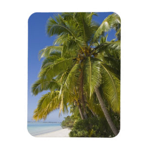 Strand auf One-Foot-Eiland, Aitutaki, Cookinseln Magnet