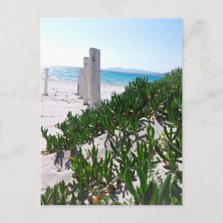 Strand bei Alghero Sardinien - Postkarte