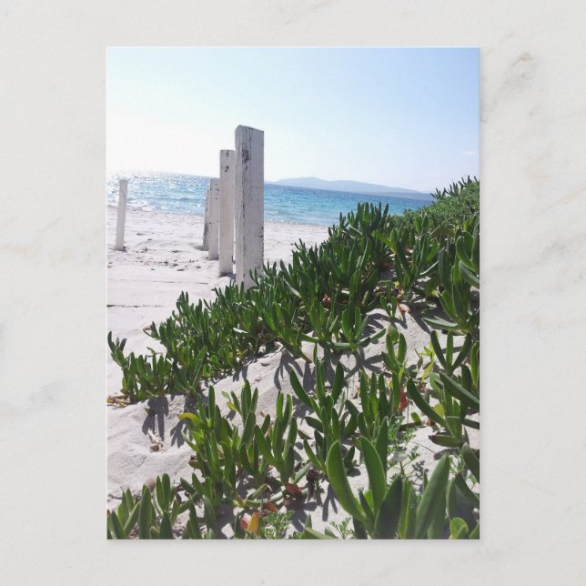 Strand bei Alghero Sardinien - Postkarte (Vorderseite)