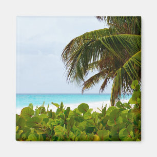 STRAND CARIBBEAN - BARBADOS MAGNET