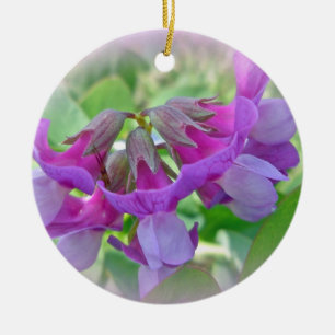 Strand-Erbse - Lathyrus Japonicus - Wildblume Keramik Ornament