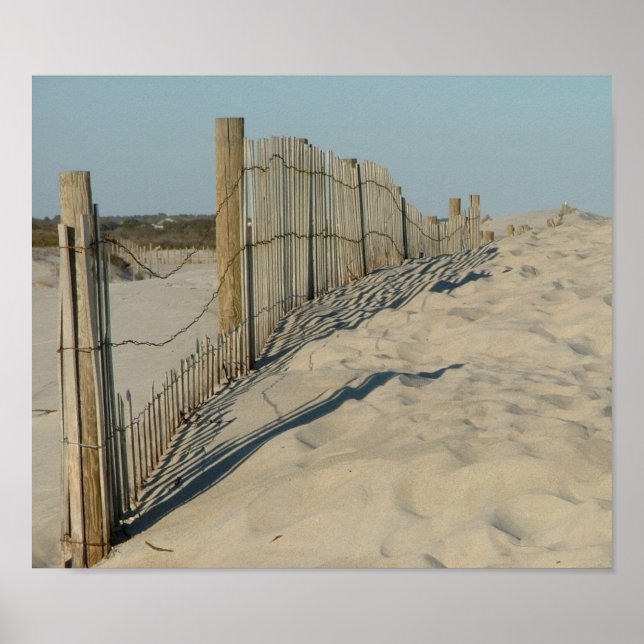 Strand in Assateague Poster (Vorne)
