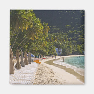 Strand in Cane Garden Bay, Insel Tortola Magnet