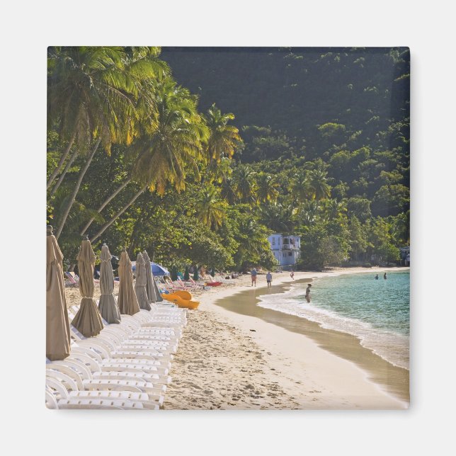 Strand in Cane Garden Bay, Insel Tortola Magnet (Vorne)