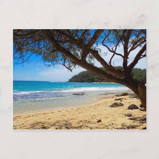 Strand in Kauai Postkarte (Vorderseite)