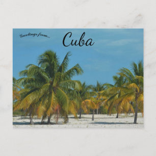 Strand in Kuba Postkarte