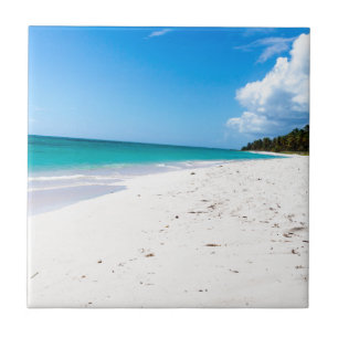 Strand Isla Saona in der Karibik Fliese