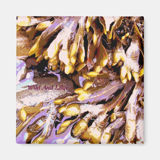 STRAND MAGNET (Vorne)