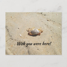 Strand mit Crab Postcard Postkarte