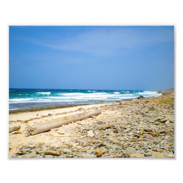 Strand mit Meereswellen und Treibholz, karibische  Fotodruck (Vorne)