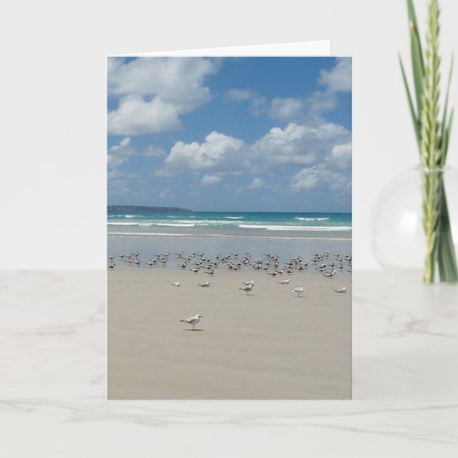 Strand mit Möwen Karte (Vorderseite)