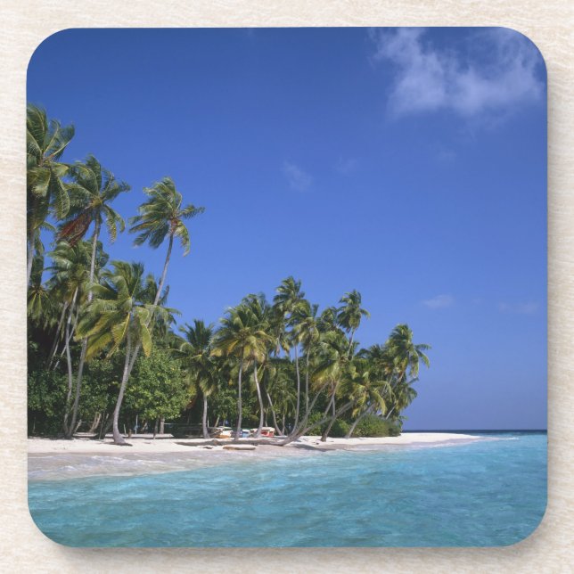 Strand mit Palmen, Malediven Getränkeuntersetzer (Vorderseite)
