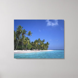 Strand mit Palmen, Malediven Leinwanddruck