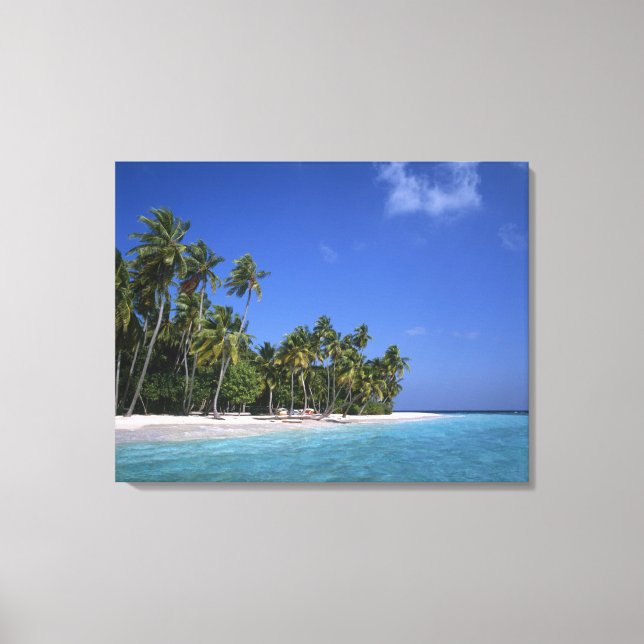Strand mit Palmen, Malediven Leinwanddruck (Vorderseite)