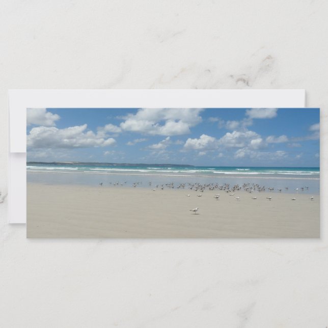 Strand mit Seaguls (Vorderseite)