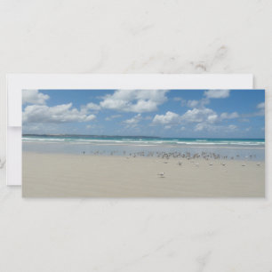 Strand mit Seaguls