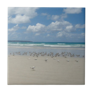 Strand mit Seaguls Fliese