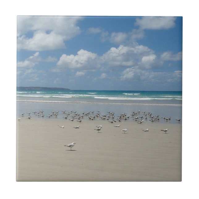 Strand mit Seaguls Fliese (Vorderseite)