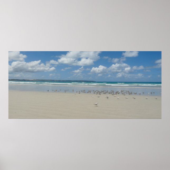 Strand mit Seaguls Poster (Vorne)