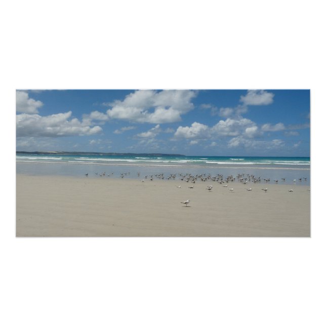 Strand mit Seaguls Poster (Vorderseite)