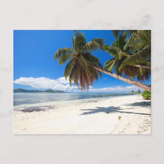 Strand mit weißem Sand Postkarte (Vorderseite)