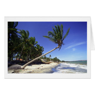 Strand mit weißem Sand und Palmen, Mui Ne (Vietnam