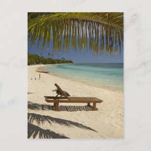 Strand, Palmen & Liegestuhl Postkarte