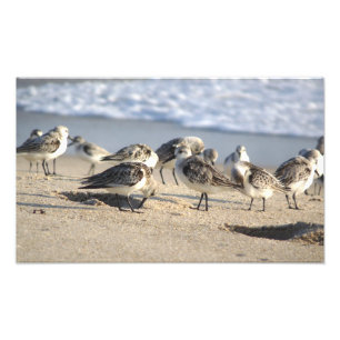 Strand-Party. Sebastian-Einlass Fotodruck