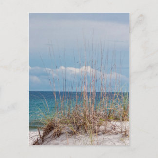 Strand Pensacola Postkarte