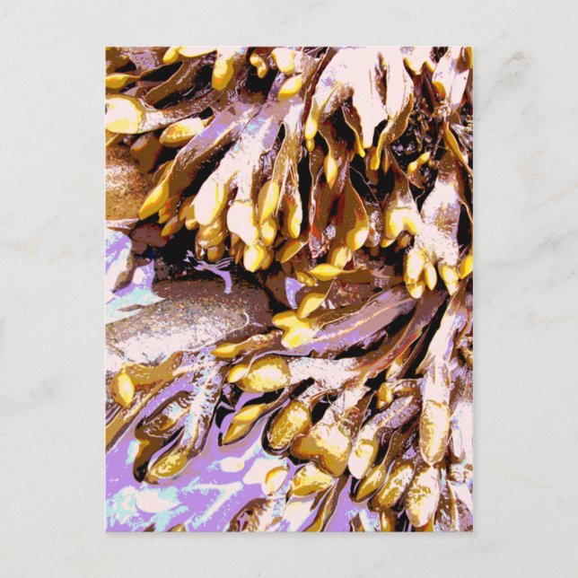 STRAND POSTKARTE (Vorderseite)