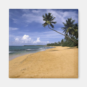 Strand Puerto Rico 2 Magnet