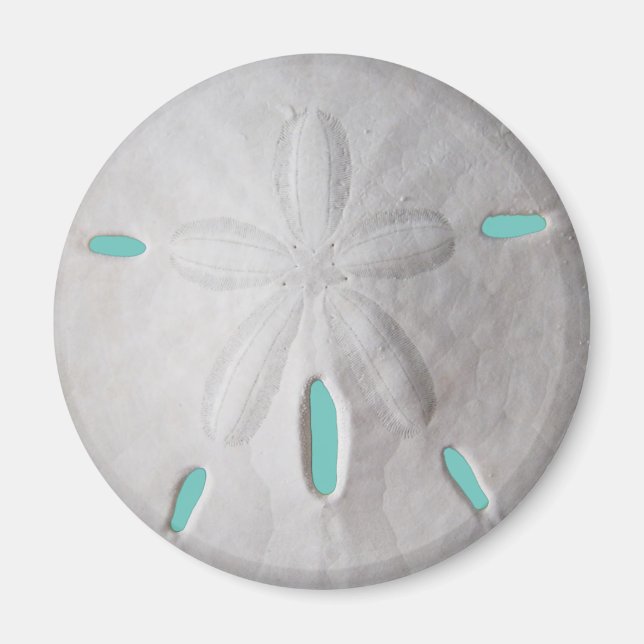 Strand Sand Dollar Sommer türkis weiß Magnet (Vorne)
