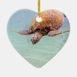 Strand-Schildkröte 2014 Mauis Hawaii Keramikornament