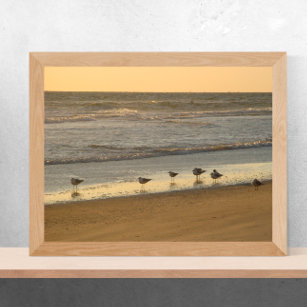 Strand Sonnenaufgang Ozeanvögel Küste Poster