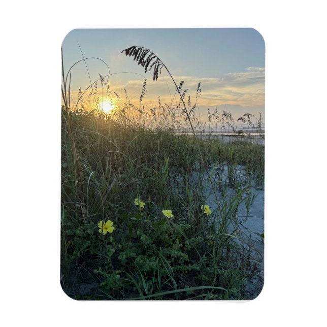 Strand Sonnenaufgang über Dünen Magnet (Vertikal)