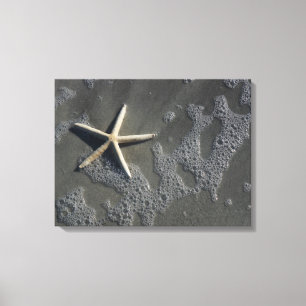 Strand Starfish Canvas Print Leinwanddruck