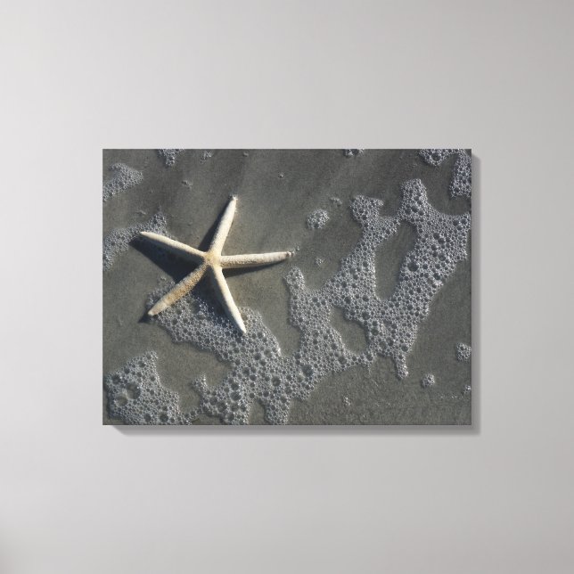 Strand Starfish Canvas Print Leinwanddruck (Vorderseite)