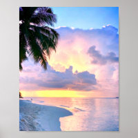 Strand Sunset Meer Sandpalme Maldives Miami