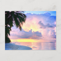 Strand Sunset Meer Sandpalme Maldives Miami