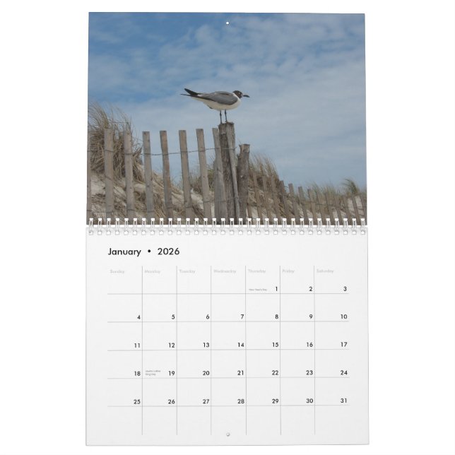 Strand-Szenen-19-monatiger Kalender 2011-2012 (Jan 2026)